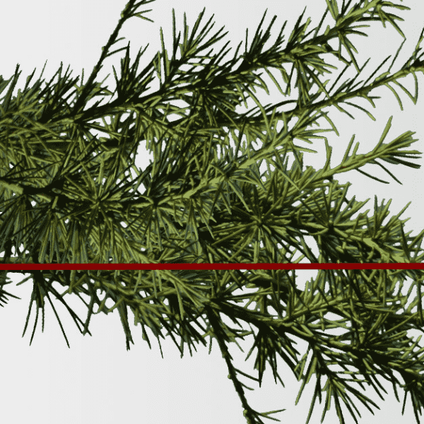 Let's Talk About Christmas