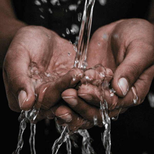 Freshwater or Saltwater Words