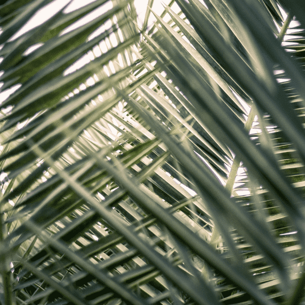 How to Talk to Your Kids About Holy Week