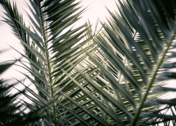 How to Talk to Your Kids About Holy Week