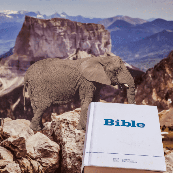 How to Eat an Elephant… One Bite at a Time