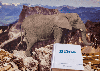 How to Eat an Elephant… One Bite at a Time