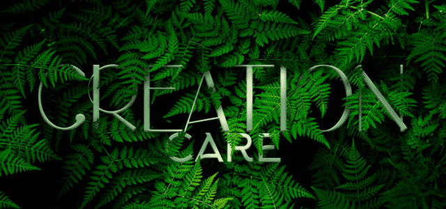 Creation Care