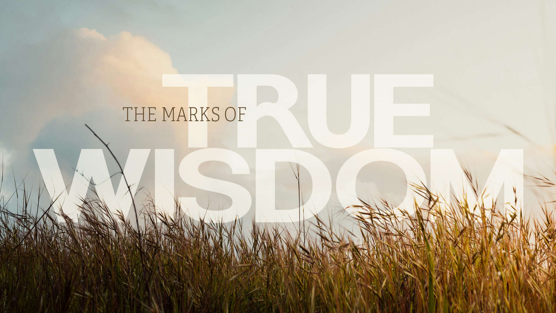The Marks of True Wisdom