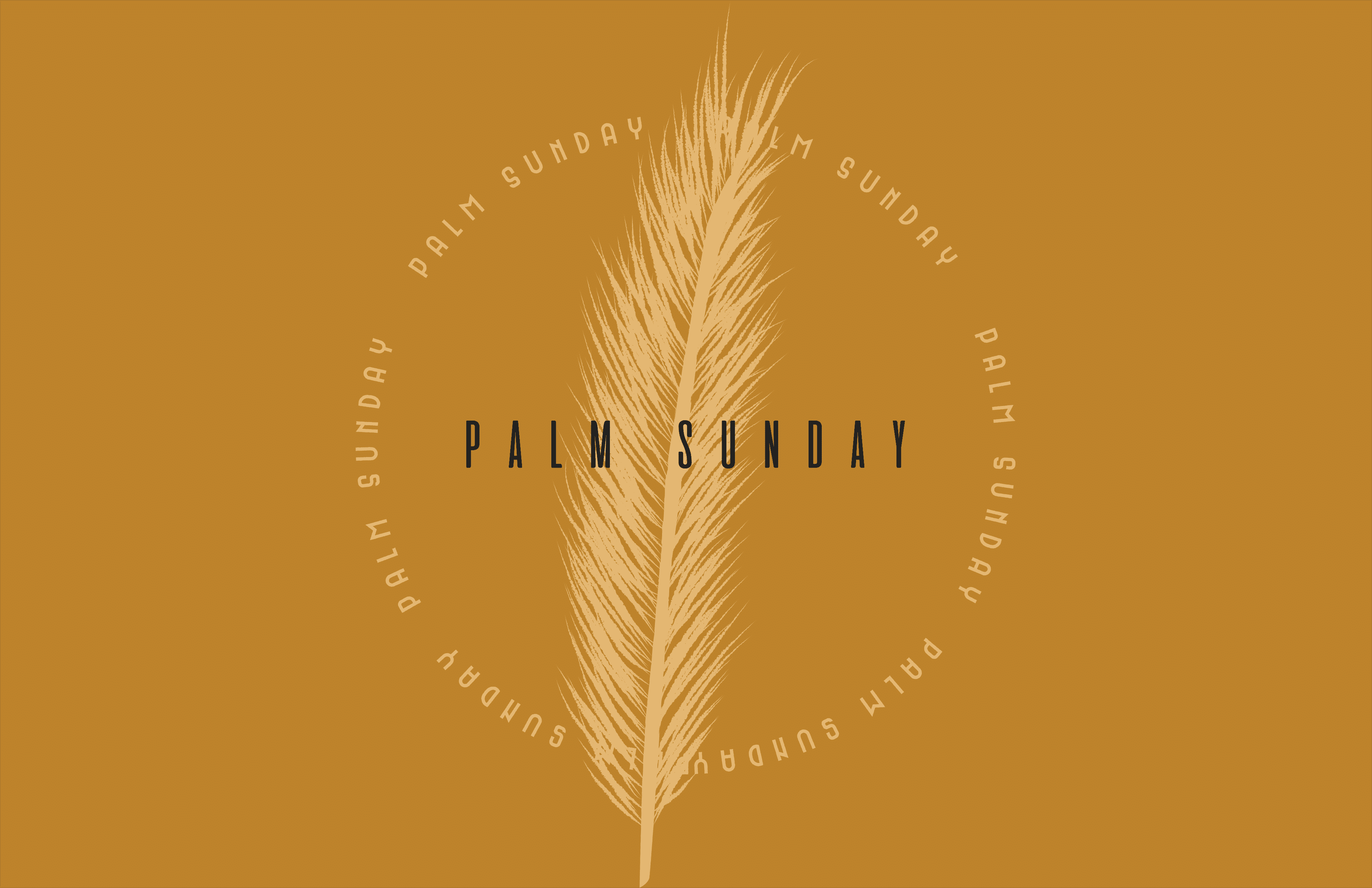 Holy Week at Meck - Meck Church - Mecklenburg Community Church - Holy Week - Week of Easter - Jesus' Final Days