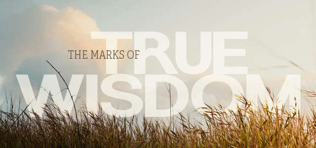 The Marks of True Wisdom - Daily Devos - Daily Devotionals - Wisdom and Intelligence - smarts - wise - intelligent - how to gain wisdom