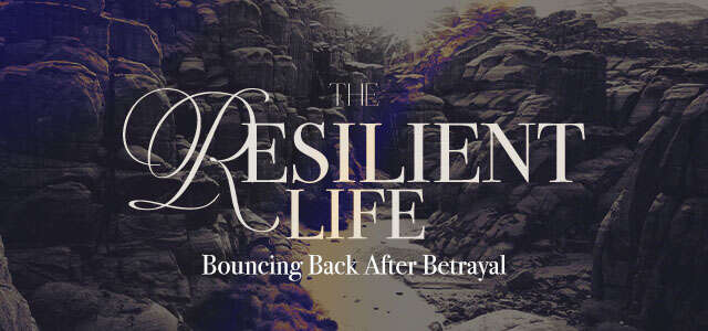 The Resilient Life Daily Devos - Daily Devotionals - Joseph - Betrayal - Resilience - Meck Church - Mecklenburg Community Church - Bouncing Back - Getting Back Up after Tragedy - Christian Story
