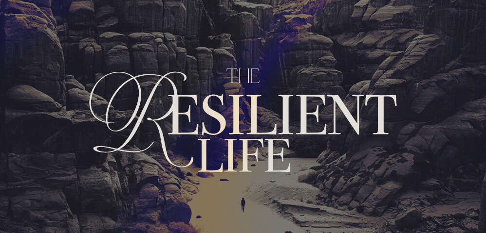 The Resilient Life Weekly Message - Weekly Message at Meck  - Weekend Sermons - Sunday Sermon - Joseph - Betrayal - Resilience - Meck Church - Mecklenburg Community Church - Bouncing Back - Getting Back Up after Tragedy - Christian Story