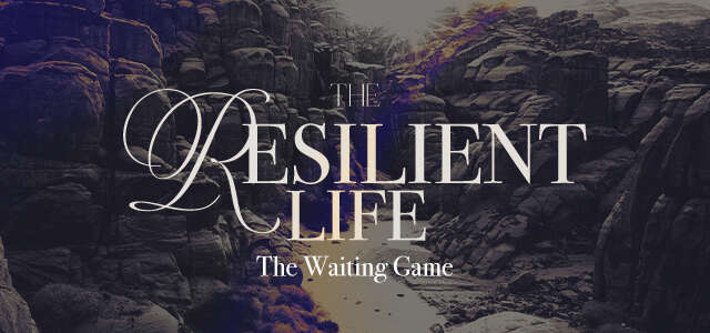 The Resilient Life Daily Devos - Daily Devotionals - Joseph - Betrayal - Resilience - Meck Church - Mecklenburg Community Church - Bouncing Back - Getting Back Up after Tragedy - Christian Story
